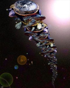 Turtles